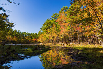 People seeing the nature autumn fall color of Robbers Cave State Park