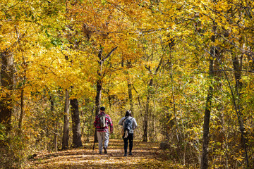 Fototapeta premium Fall color of the nature trail in Chickasaw National Recreation Area