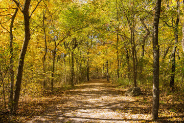 Fall color of the nature trail in Chickasaw National Recreation Area
