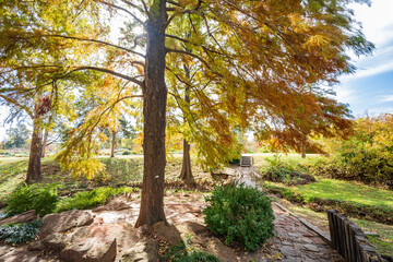 Fototapeta premium Beautiful fall color of the Will Rogers Gardens