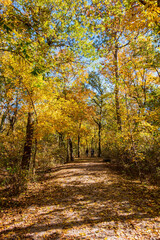 Fototapeta na wymiar Fall color of the nature trail in Chickasaw National Recreation Area