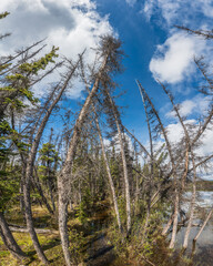 Mountain landscape in northern Canada seen during the summer time with blue sky, clouds and stunning nature scene. 