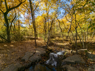 Fall color of the nature trail in Chickasaw National Recreation Area