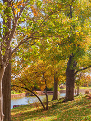 Beautiful fall color of the Will Rogers Gardens