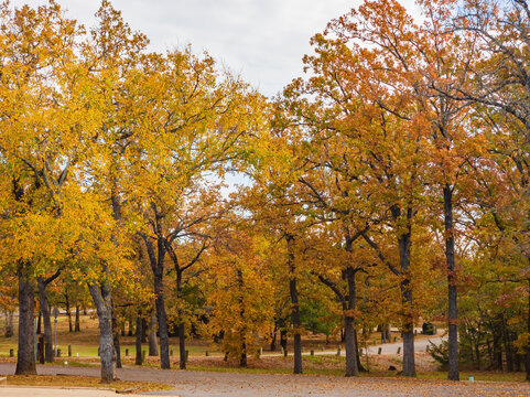 Beautiful Landscape Of Lake Murray State Park