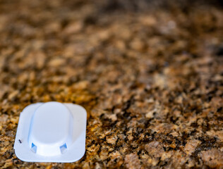 Ant trap poison bate on a granite kitchen countertop