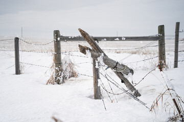 Wire fenceand posts around a field in winter
