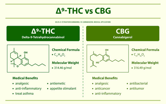 ∆9-THC vs CBG, Delta 9 Tetrahydrocannabinol vs Cannabigerol horizontal infographic
