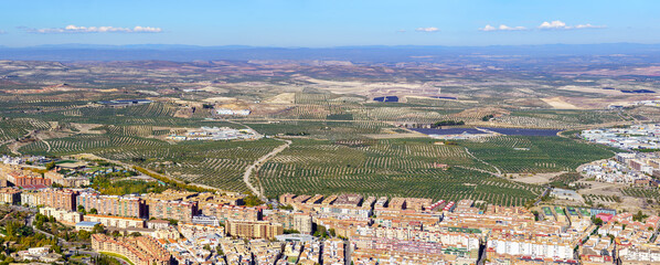 Endless olive groves next to the Andalusian city of Jaen. Spain.