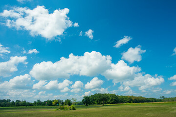 field and blue sky