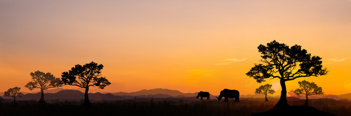 Fototapeta na wymiar Safari.Amazing sunset and sunrise.Panorama silhouette tree in africa with sunset.Tree silhouetted against a setting sun.