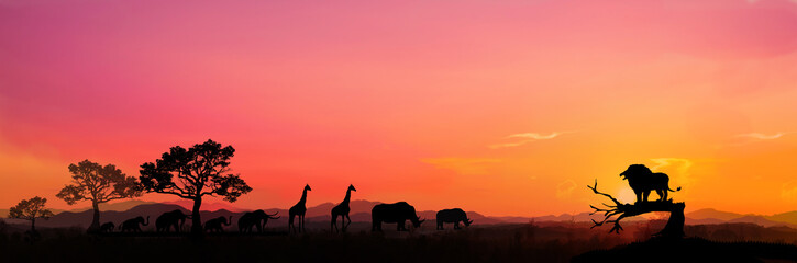 Amazing sunset and sunrise.Panorama silhouette tree in africa with sunset.Tree silhouetted against a setting sun.