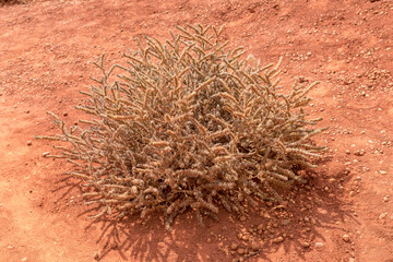 Otranto Puglia bauxite lake