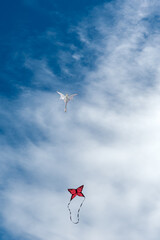 Colorful Kites flying over the sky
