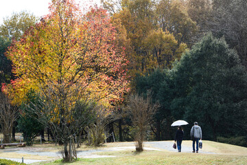 晩秋の紅葉と夫婦