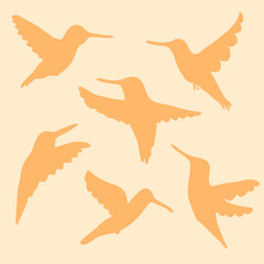 Hand drawn hummingbirds silhouette pattern. Perfect for T-shirt, poster, greeting card and print. Doodle vector illustration for decor and design.
