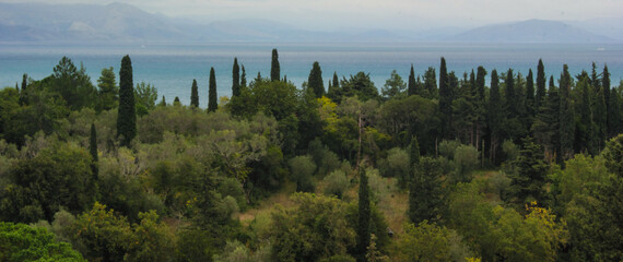 Obraz premium Panoramic Mediterranean landscape with green cypress and olive trees. 