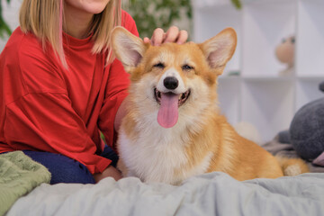 Cute little girl hugging corgi dog with love eyes closed, smiling. Dog lover with domestic animal. soft selective focus