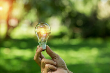 Light bulbs that grow, in the concept of energy in nature.