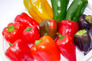 カラフルなピーマン01