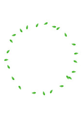 Greenish Sheet Background White Vector. Greenery Decorative Texture. Isolate Card. Light Green Realistic Frame. Vegetation Element.