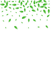 Light Green Sheet Background White Vector. Greenery Herbal Texture. Shape Frame. Green Agriculture Design. Leaf Growth.