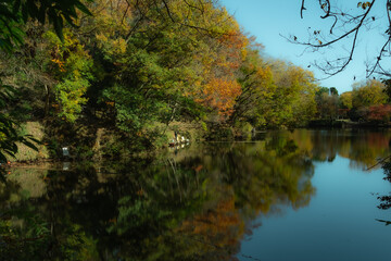 静かな秋の湖