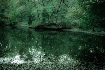 森林の湖