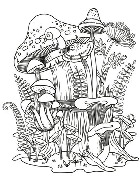 Difers mushrooms grow on the stump and around next to wild flowers. Vector coloring page for adult