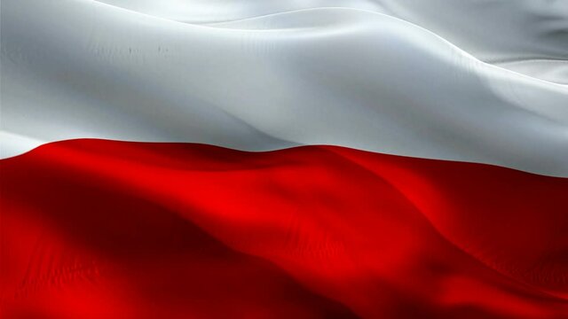 Polish flag. 3d Poland sign waving video. Flag of Poland holiday seamless loop animation. Polish flag silk HD resolution Background. Poland flag Closeup 1080p HD video for Independence Day,Victory day