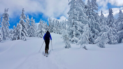 Fototapeta na wymiar Ski tourer in fairytale winter landscape after heavy snowfall. Laterns, Vorarlberg, Austria.