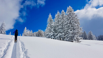 Ski tourer in idyllic winter winterlandscape deeply covered in snow. Laterns, Vorarlberg, Austria.
