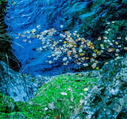 Fototapeta na wymiar The source of the Rio Mundo in Riopar, Spain, an exceptional nature reserve