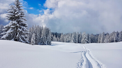 Fototapeta na wymiar Snow path in idyllic winter landscape in the Austrian Alps. Vorarlberg, Austria.