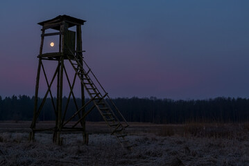 Ambona © Arkadiusz
