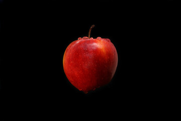 Red apple in water drops in flight on a black background