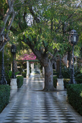 Cadiz Andalusia Spain old town historic fort city wall promenade botanic garden house facades...