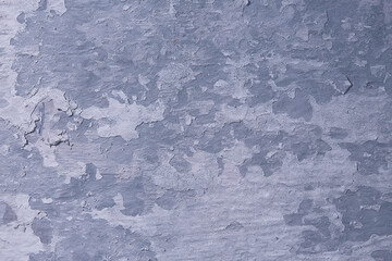 gray stucco grunge wall, abstract background gray wall blank