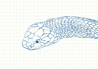 snake hand drawn realistic
