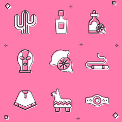 Set Cactus, Tequila bottle, with lemon, Mexican wrestler, Lime, Cigar, Poncho and Pinata icon. Vector