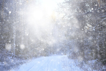 winter background snowfall trees abstract blurred white