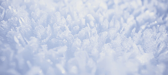 abstract winter background hoarfrost frost ice snow seasonal