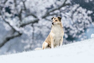 Lilly im Winterwonderland
