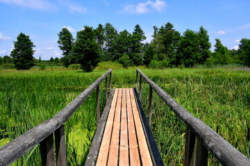 A close up on a temporary wooden bridge made out of planks, logs, and boards allowing to admire vast fields, meadows, and pasturelands surrounded with dense trees and shrubs seen in Poland