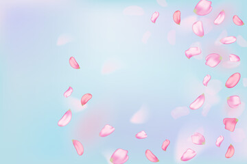 Pink falling sakura petals and flowers.Nature horizontal background.