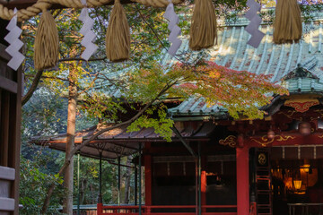 東京、赤坂氷川神社の境内の風景　赤坂、港区、東京、日本