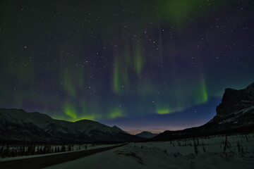 Obraz na płótnie Canvas Northern Lights (Aurora Borealis or Polar Lights) - Dalton Highway, Alaska (USA)