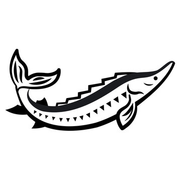 recommend clip art: Sturgeon fish black and white icon