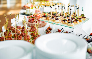 food buffer catering. Different canapes and appetizer on table