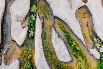 Algae grow on the bedrock of a dry river producing eutrophication